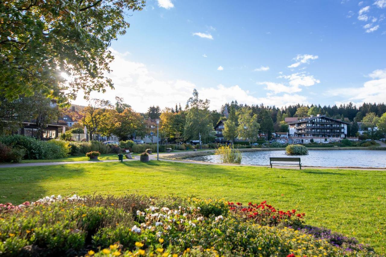 Hexenglueck Und Hexenzauber Hahnenklee Appartement *